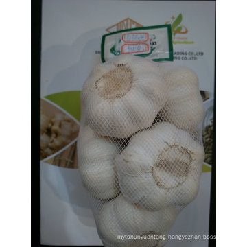 Professional supply purity natural new crop normal white garlic